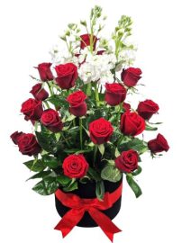 Box Roses et Giroflés
