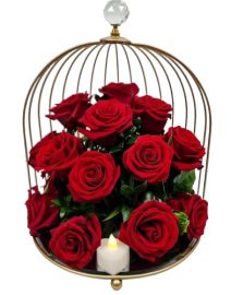 Cage d'Amour