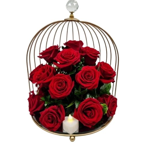 Cage d'Amour
