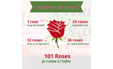 large-1-rose-3