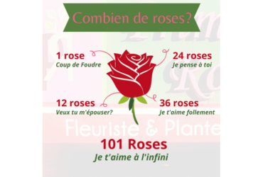 large-1-rose-3