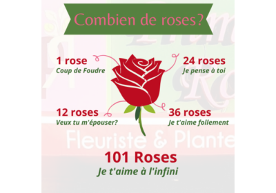 large-1-rose-3
