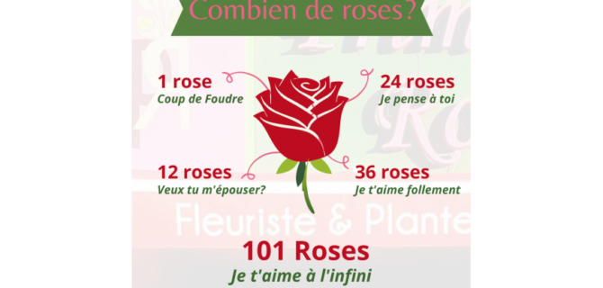 large-1-rose-3