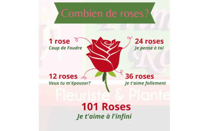 large-1-rose-3