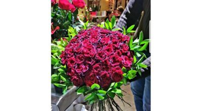 large-prima-saint-valentin