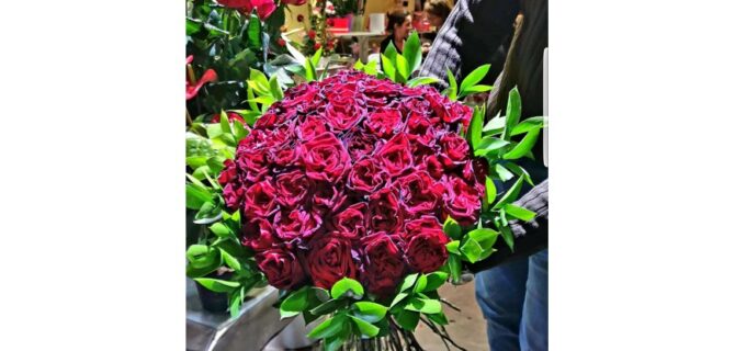 large-prima-saint-valentin